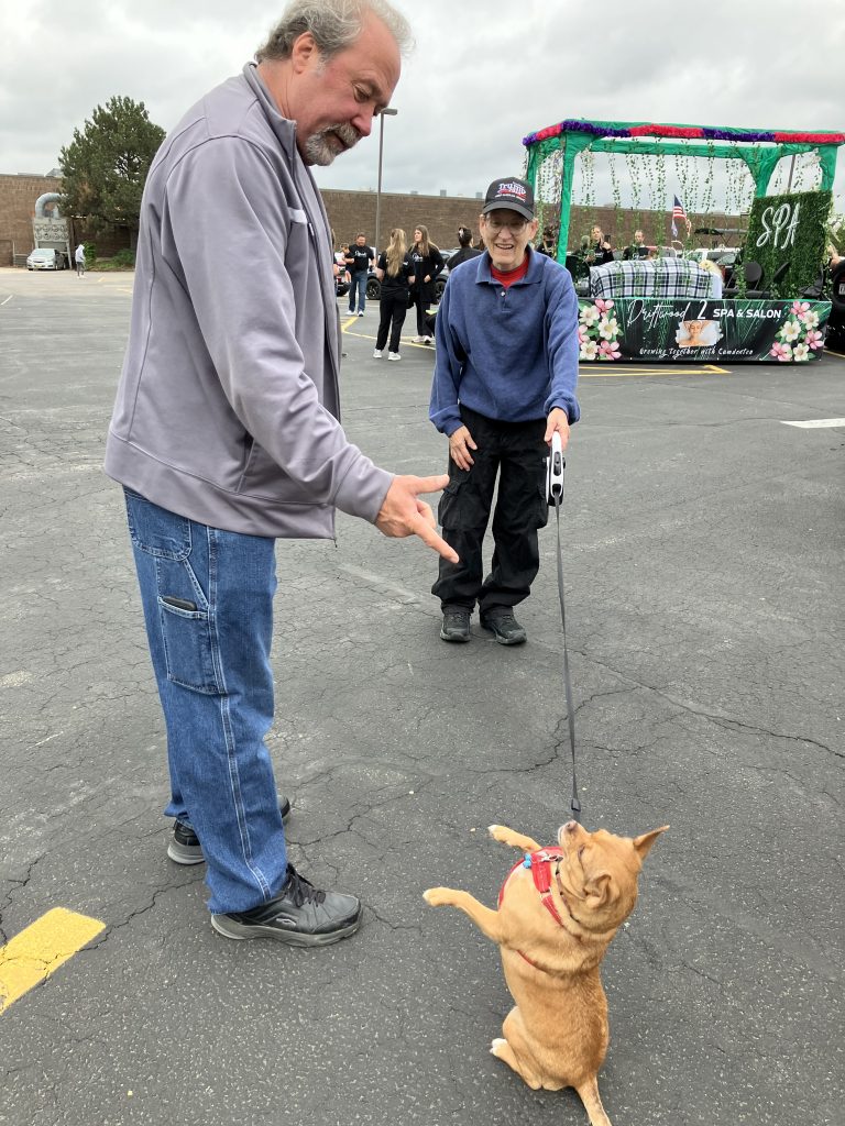 3 Before Parade-Jay Leesa Dog